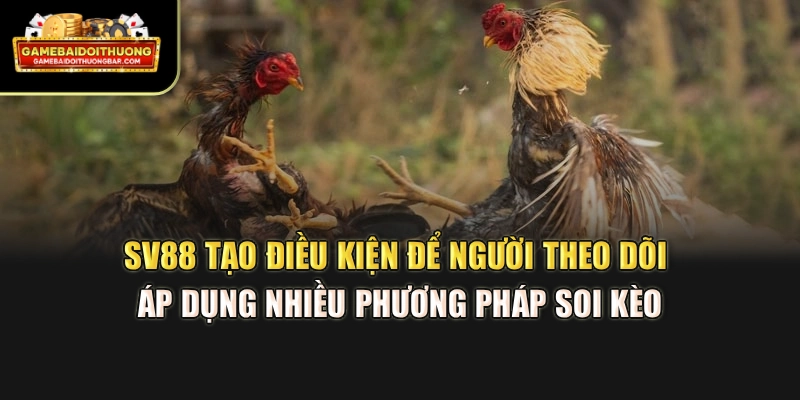 SV88 tạo điều kiện để người theo dõi áp dụng nhiều phương pháp soi kèo