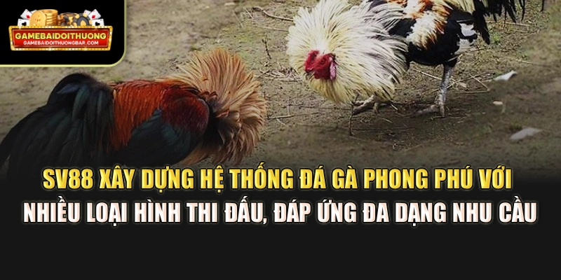SV88 xây dựng hệ thống đá gà phong phú với nhiều loại hình thi đấu, đáp ứng đa dạng nhu cầu